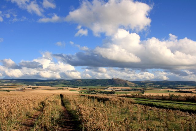 File:Leaving it until last harvest - geograph.org.uk - 532698.jpg