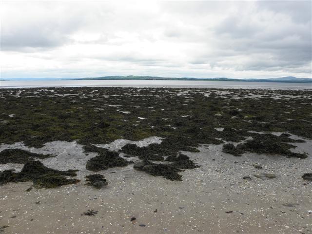 File:Lough Swilly at Inch Island - geograph.org.uk - 3615661.jpg