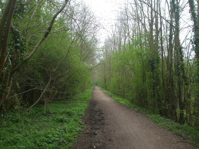 Whitwell Common SSSI