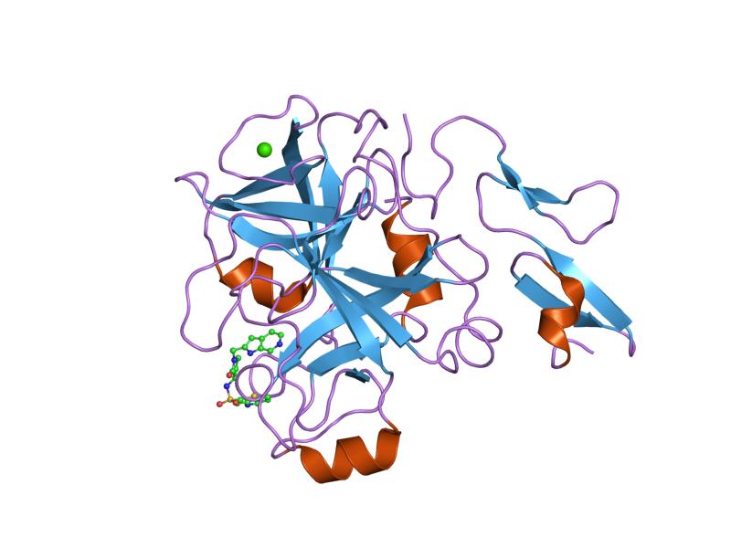 File:PDB 1f0s EBI.jpg