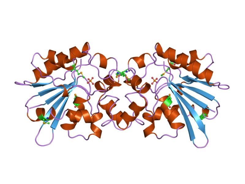 File:PDB 1fbt EBI.jpg