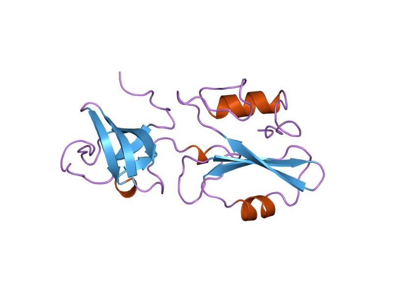 File:PDB 2abl EBI.jpg