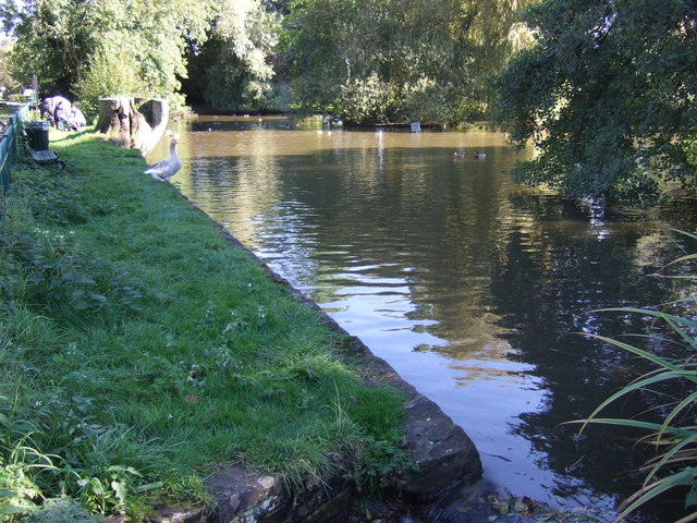 Pond at Meriden - geograph.org.uk - 3167521