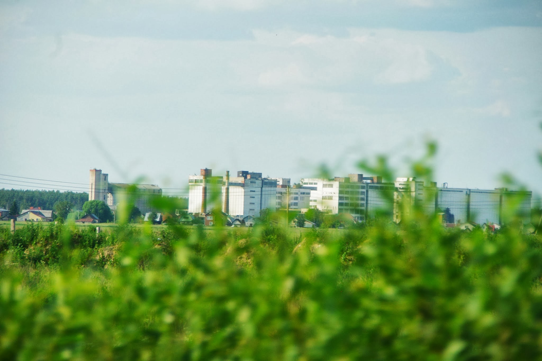 Зеленый московская область. Чистое Южное Московская область. Красногорск зелень. Давыдово с высоты. Асиг Московская область.