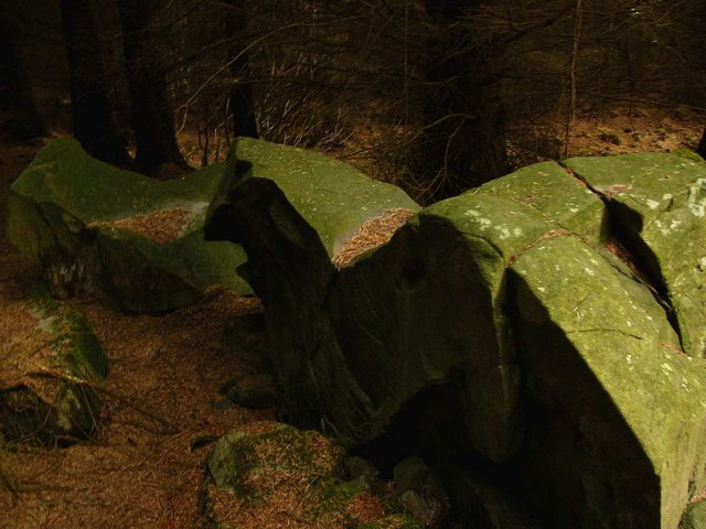 File:Rock in the forest - geograph.org.uk - 465998.jpg