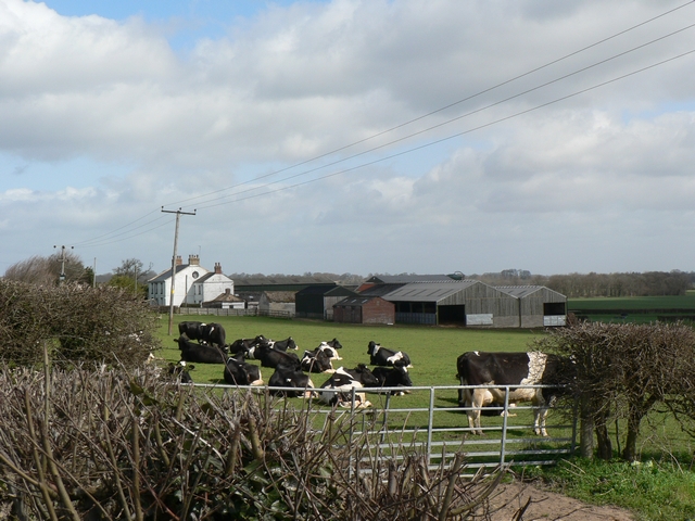 Saxton Grange, Saxton - geograph.org.uk - 151404