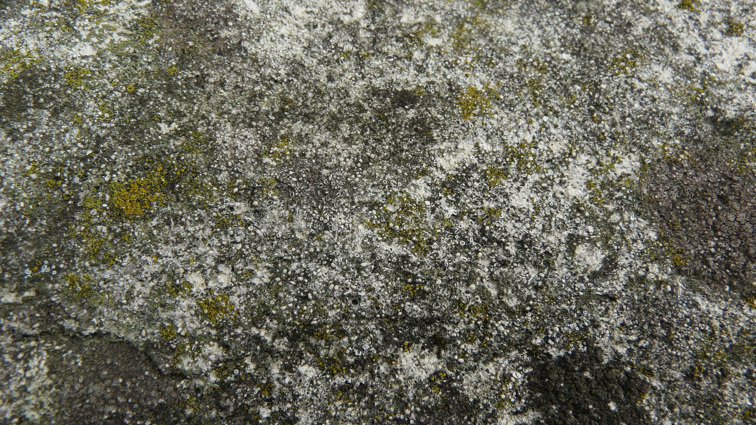 rock stone texture