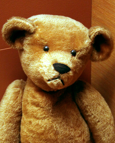The History of the Teddy Bear, History