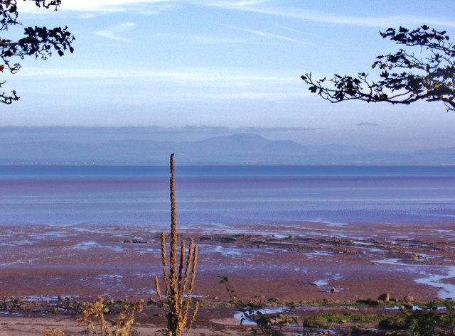 File:The shore as the tide goes down - geograph.org.uk - 1402709.jpg