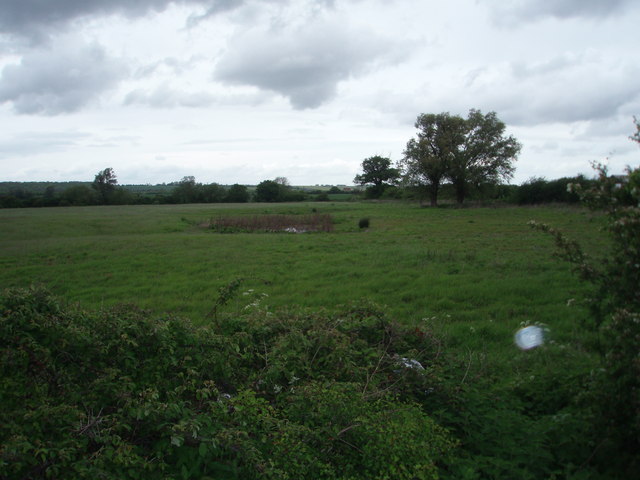 File:Unused Farmland - geograph.org.uk - 431321.jpg