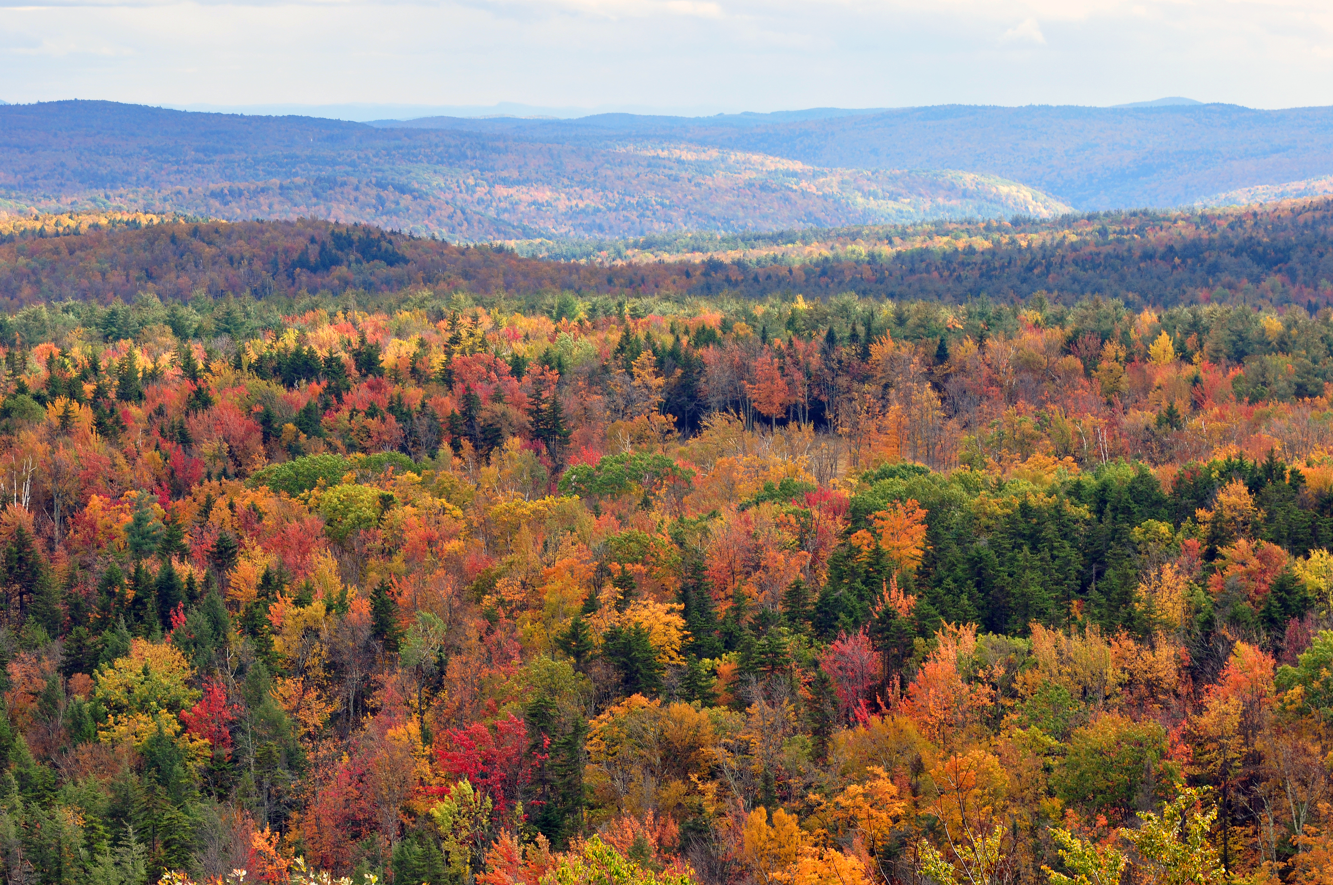 [Imagem: Vermont_fall_foliage_hogback_mountain.JPG]