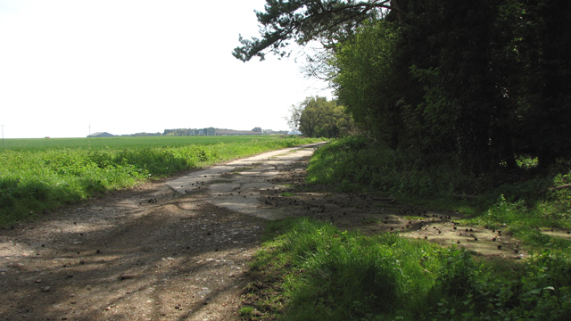 File:WW2 concrete road - geograph.org.uk - 4938351.jpg