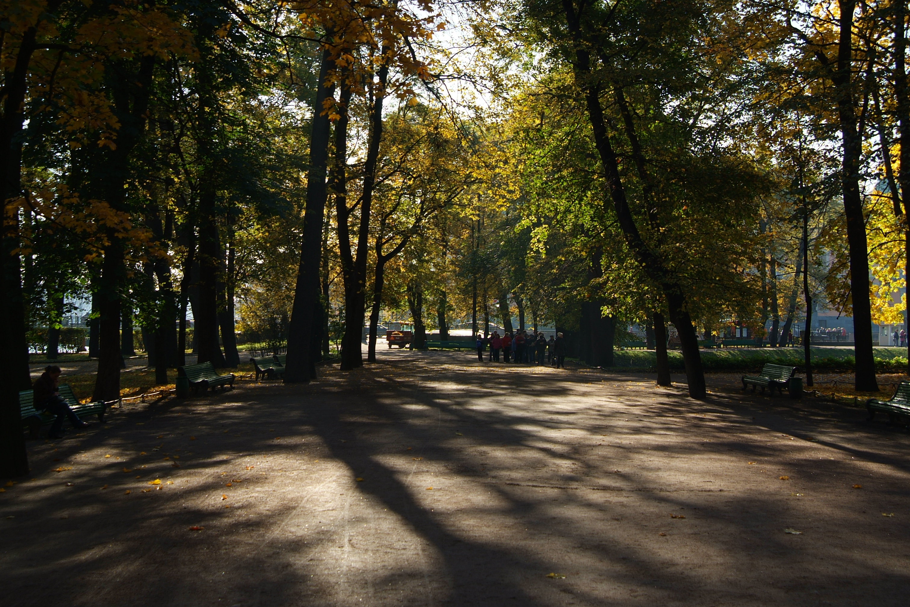 Аллеи санкт петербурга