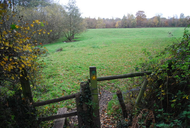 File:1066 Country Walk leaving Saxon Wood - geograph.org.uk - 2186837.jpg