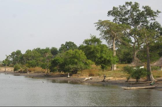 File:1917323-south bank of the Bintang Bolong-The Gambia.jpg