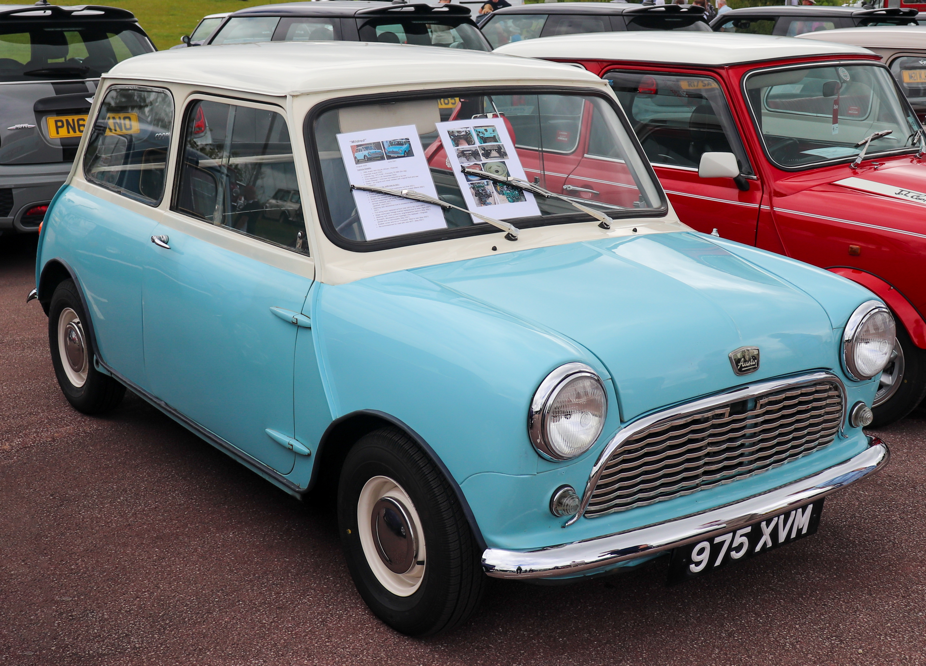 File:1962 Austin Mini 'Twini' Moke 850cc Front.jpg - Wikimedia Commons