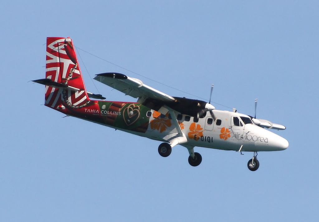 F-OIQI, the aircraft involved in the crash, pictured in March 2007