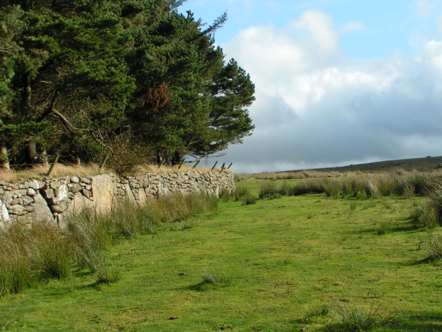 File:Boundary wall and open moor at Batworthy - geograph.org.uk - 1473661.jpg