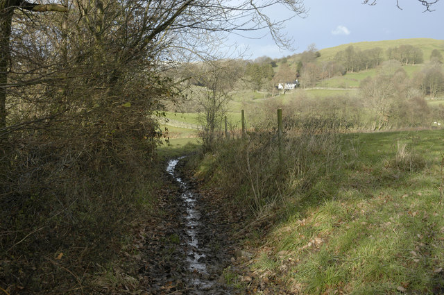 File:Chapel Lane looking towards Lindreth Brow - geograph.org.uk - 1058183.jpg