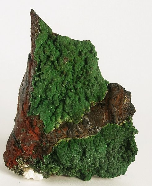 File:Conichalcite-239931.jpg