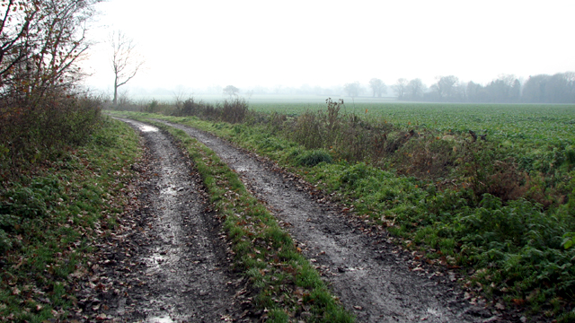 File:Crop fields beside Nobbs' Lane - geograph.org.uk - 5217606.jpg