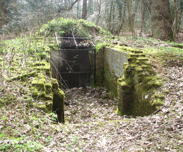 File:Disused icehouse - geograph.org.uk - 5314140.jpg