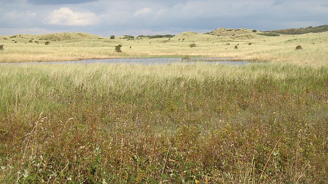 Dunes, Gullane Links - geograph.org.uk - 967768