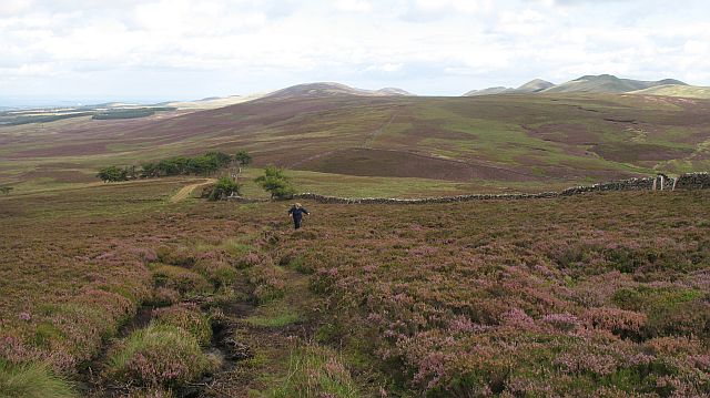 File:East ridge, East Cairn Hill - geograph.org.uk - 946524.jpg