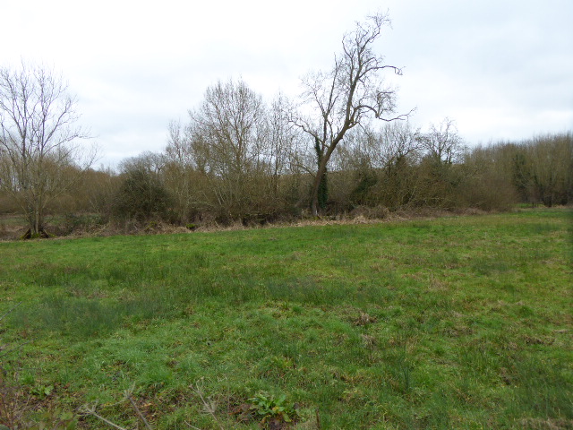 Easton Farm Meadow