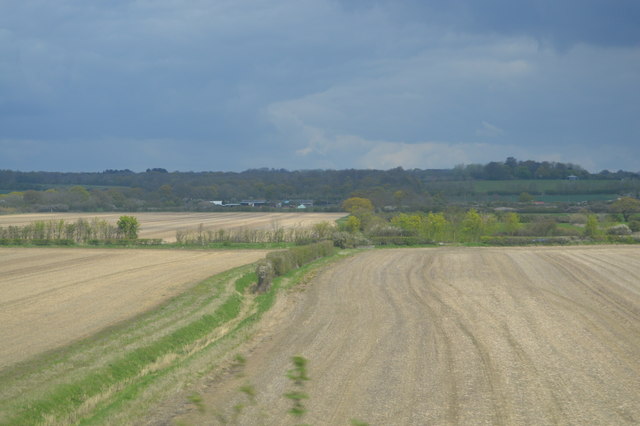 File:Field drain - geograph.org.uk - 5117792.jpg