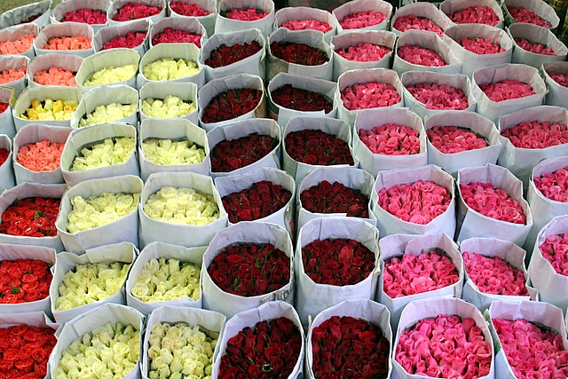 File:Flower bundles.jpg