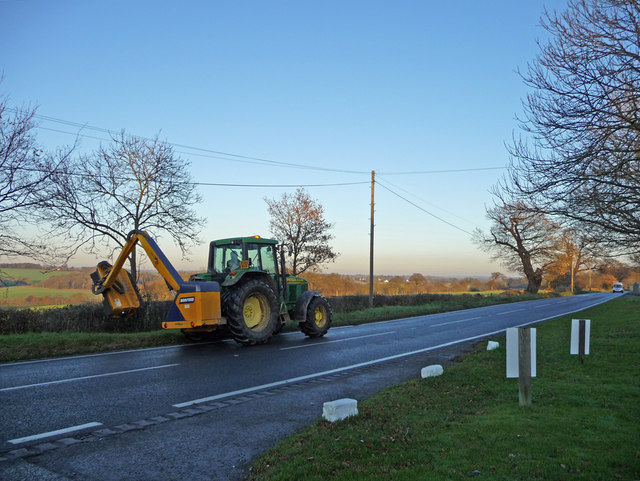 File:Hedge cutting, Ferny Hill, Hadley Wood, Hertfordshire - geograph.org.uk - 1068395.jpg