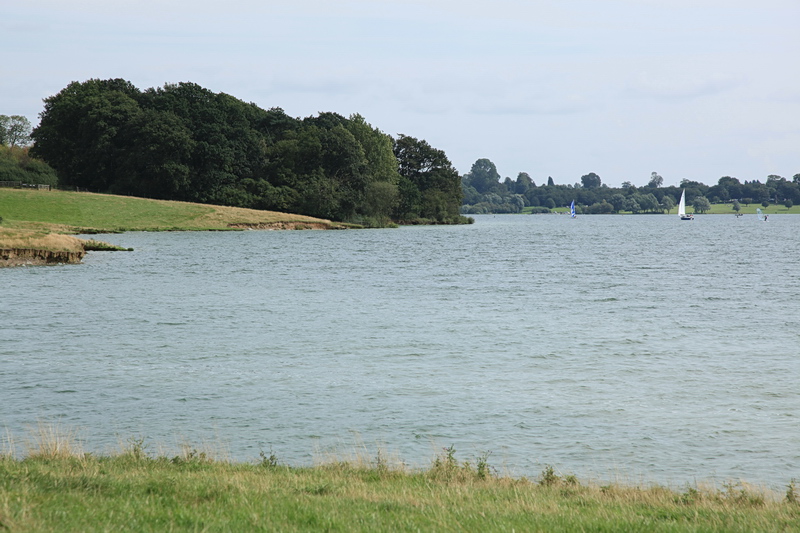 File:Hinman's Spinney, Hambleton Peninsula - geograph.org.uk - 3120382.jpg