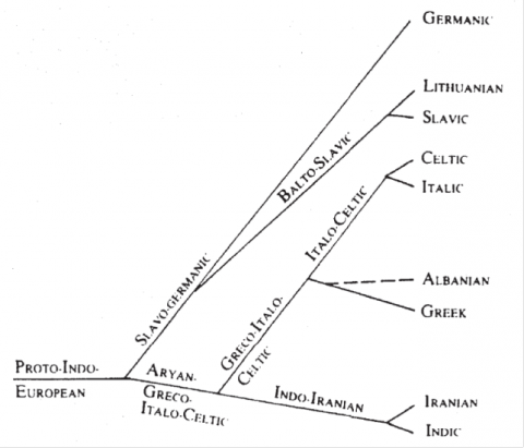 File:IE tree model according to Schleider 1863.png