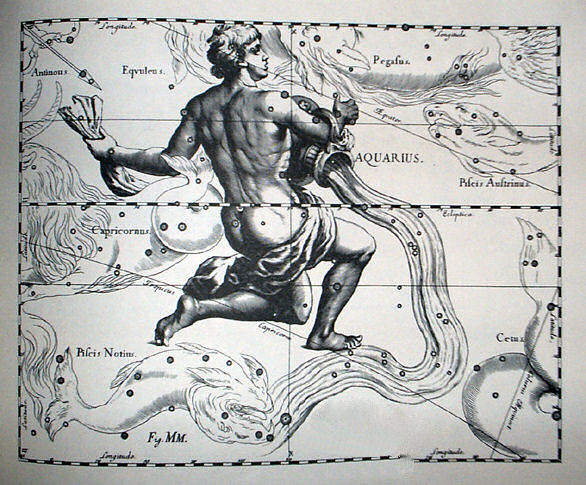 File:Johannes Hevelius - Prodromus Astronomia - Volume III "Firmamentum Sobiescianum, sive uranographia" - Tavola MM - Aquarius.jpg