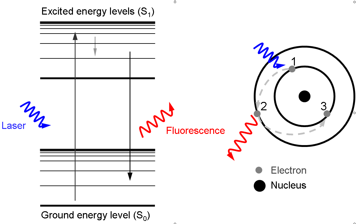 File:Laser-induced fluorescence.png - Wikipedia