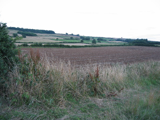 File:Lings Hill - geograph.org.uk - 32835.jpg