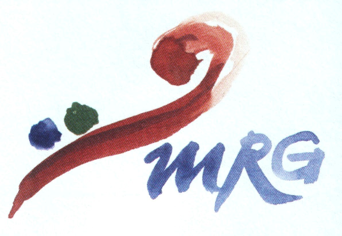 Logo des Amberger Max Reger Gymnasium