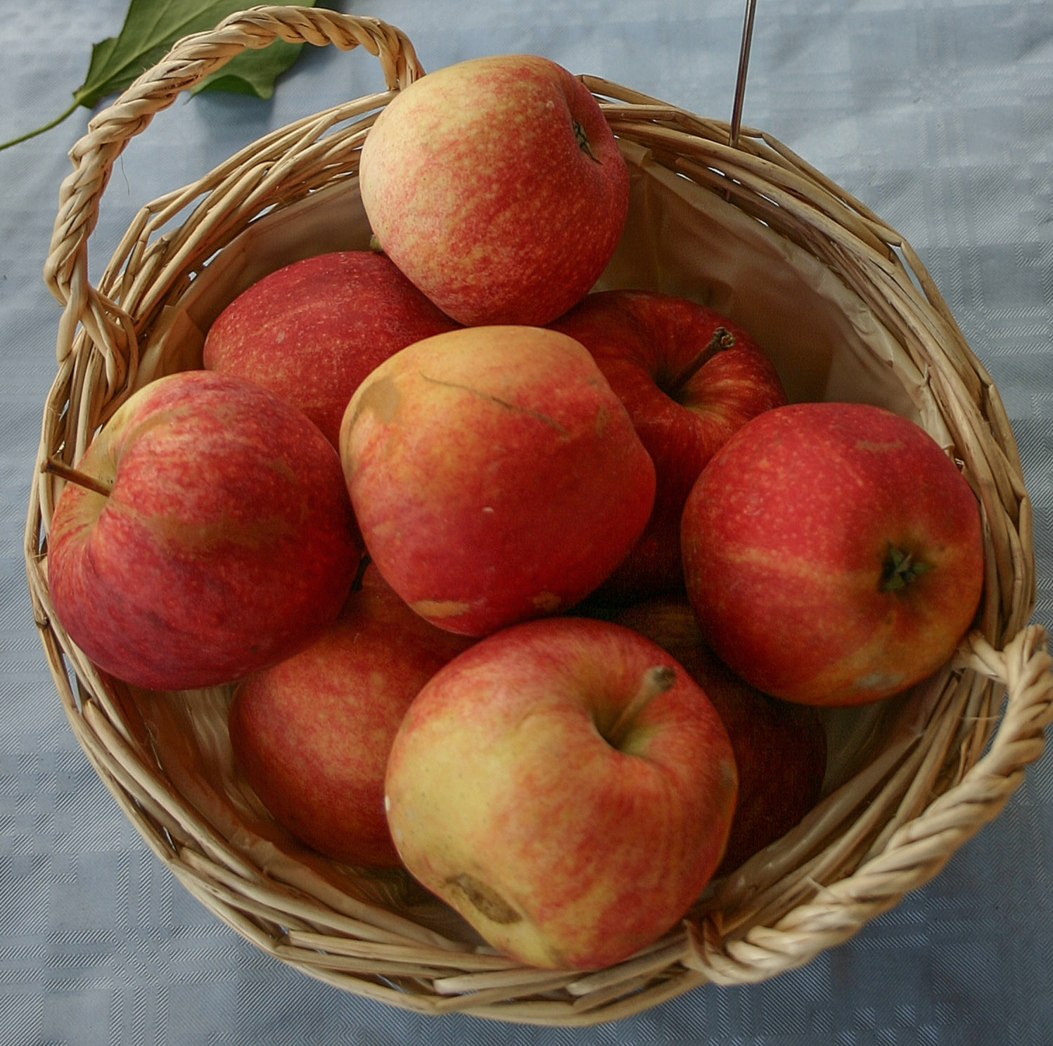 Gala Apples