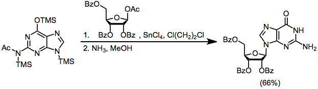 NucleoEx.png