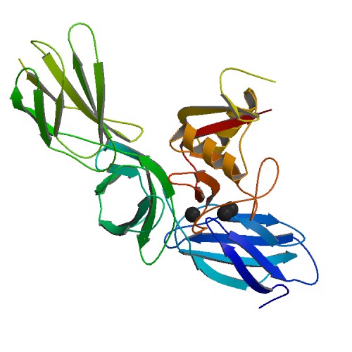 File:PBB Protein ACAN image.jpg