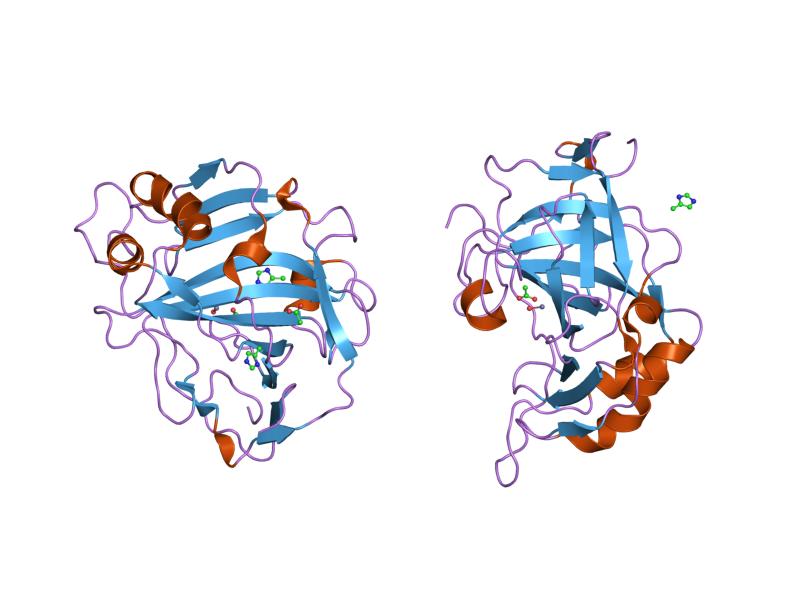 File:PDB 1keq EBI.jpg