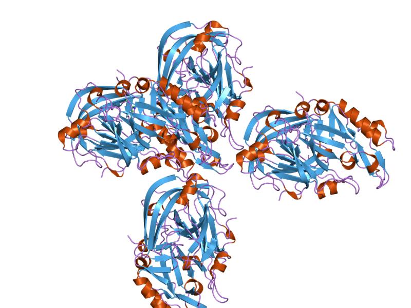 File:PDB 1xn3 EBI.jpg