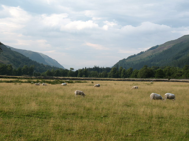 File:Pastures in Strath More - geograph.org.uk - 915916.jpg