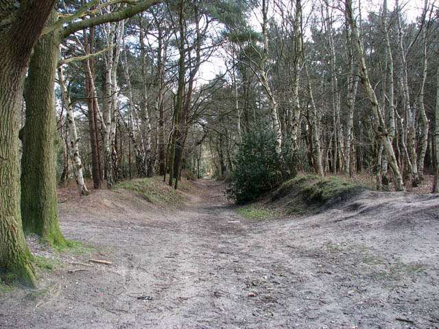 Path to St Faith's Common - geograph.org.uk - 1205721