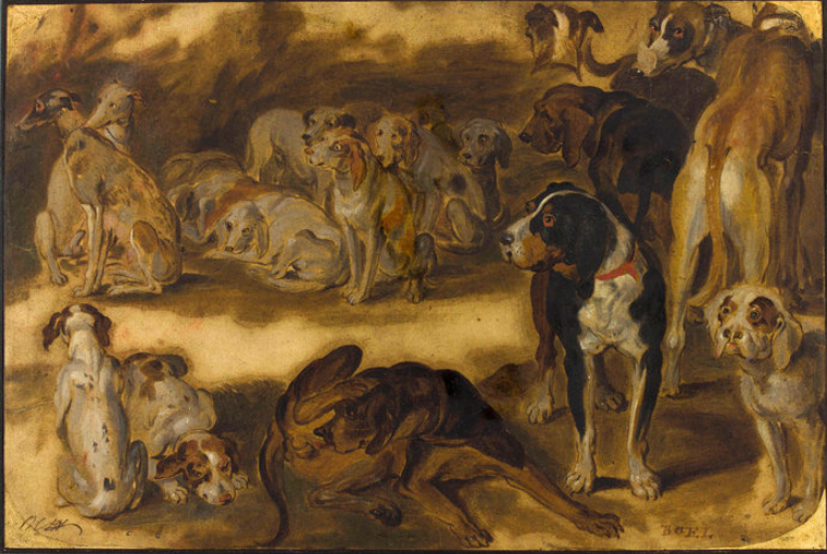 File:Pieter Boel - Study of 17 dogs.jpg