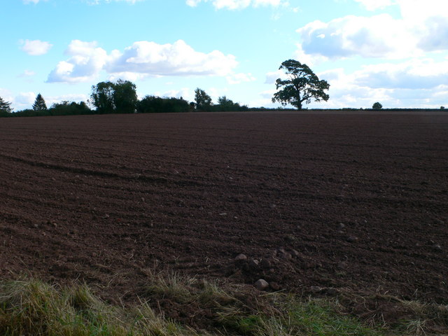 File:Ploughed field near Alderton - geograph.org.uk - 567430.jpg