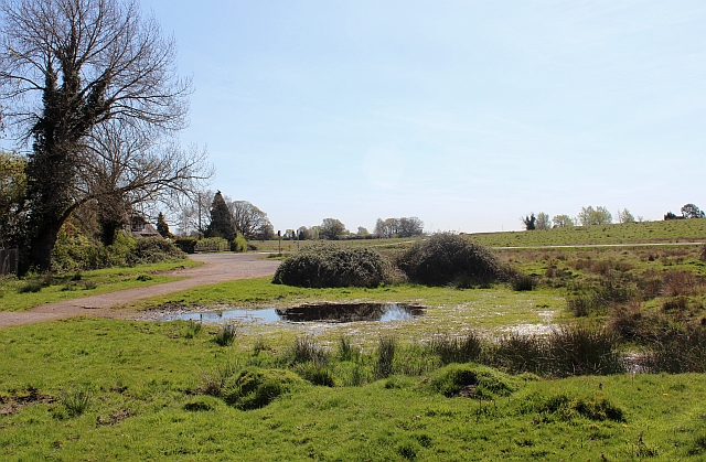 Pond, Castlemorton Common - geograph.org.uk - 3934662