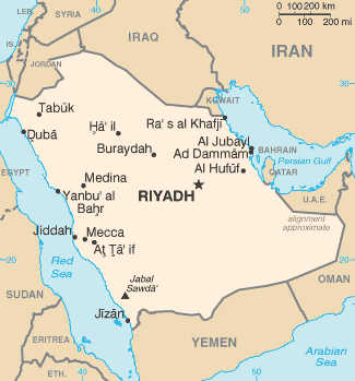 Iranian-Saudi Rivalry since 1979: In the Words of Kings and Clerics: Talal  Mohammad: I.B. Tauris