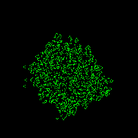 Exploding chaos in the Seeds (B2/S) rule Seeds.png